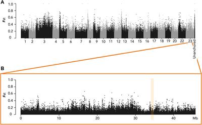 Polymorphism of Sex Determination Amongst Wild Populations Suggests its Rapid Turnover Within the Nile Tilapia Species